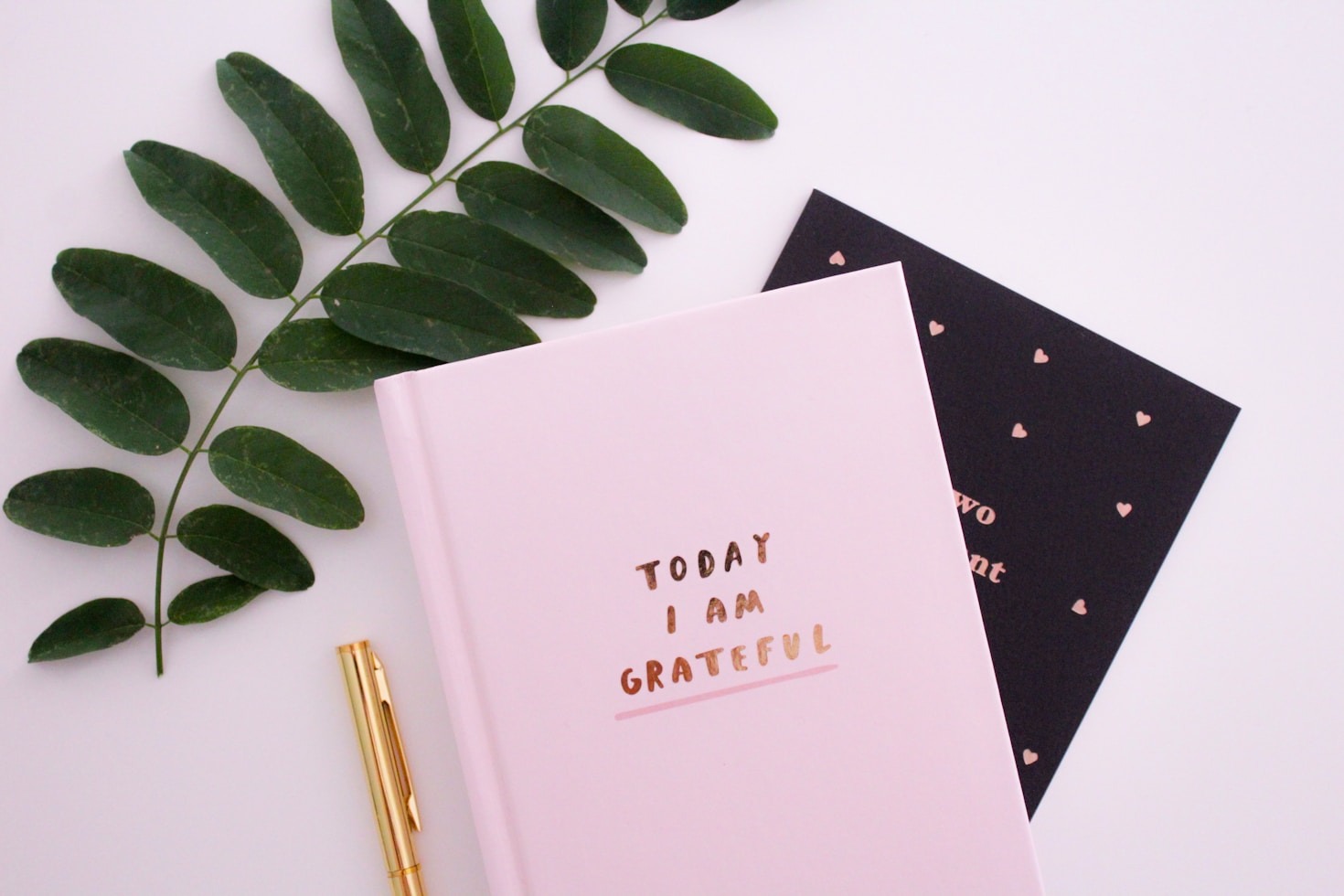 Sharing Your Truth: A Beginner’s Guide